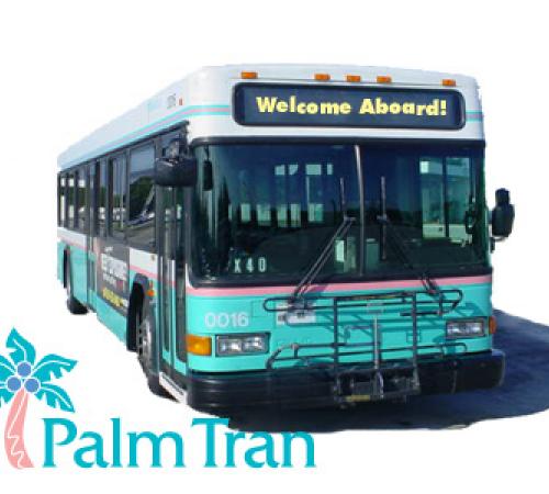 palm tran bus