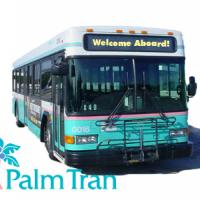 palm tran bus