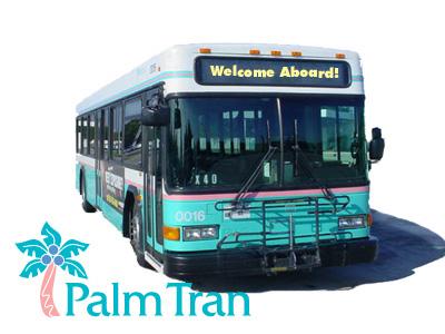 palm tran bus